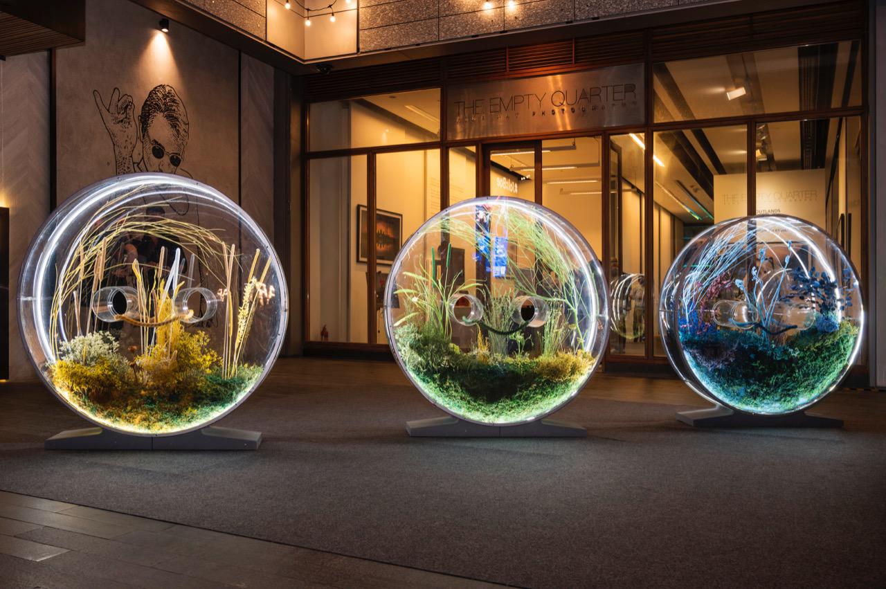 530102f7-a9e5-4de5-b1fe-9d6525ba8df2